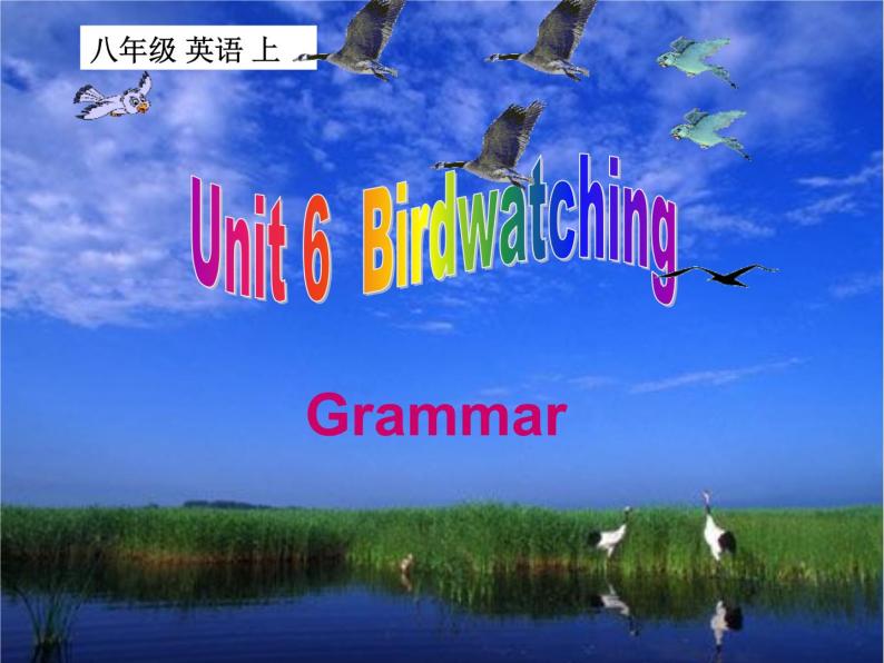 牛津译林英语八年级上册 unit6 Grammar 课件01