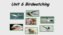 英语牛津译林版Unit 6 Bird watching课文配套ppt课件