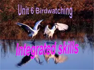 牛津译林英语八年级上册 unit 6Integrated skills 课件