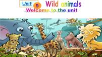 牛津译林版Unit 5 Wild animals示范课课件ppt