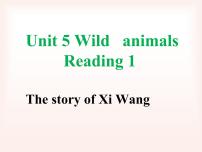 英语八年级上册Unit 5 Wild animals多媒体教学ppt课件