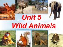 初中英语牛津译林版八年级上册Unit 5 Wild animals教课内容ppt课件