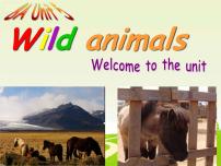 英语八年级上册Unit 5 Wild animals背景图ppt课件