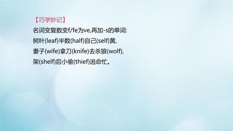 杭州专版2020中考英语复习方案第二篇语法专题突破专题01名词冠词课件人教新目标版202007102105