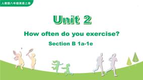 初中英语人教新目标 (Go for it) 版八年级上册Unit 2 How often do you exercise?Section B精品ppt课件