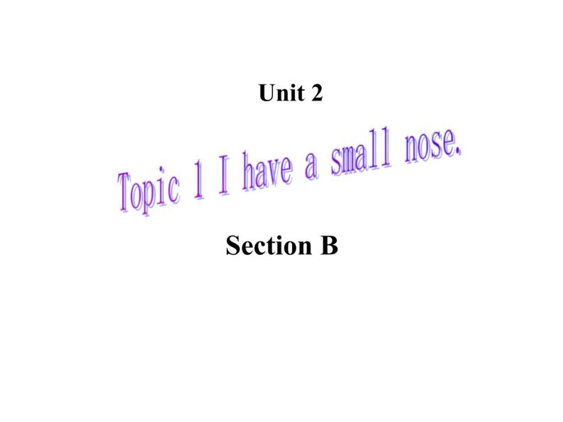 仁爱版七年级英语上Unit 2 Topic 1 I have a small nose. Section B 课件01