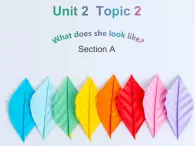 仁爱版七年级英语上Unit 2 Topic 2 What does she look like？ Section A  课件