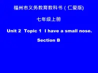 仁爱版七年级英语上Unit 2 Topic 1  I have a small nose. Section B 课件