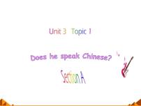初中仁爱科普版Topic 1 Does he speak Chinese?示范课ppt课件