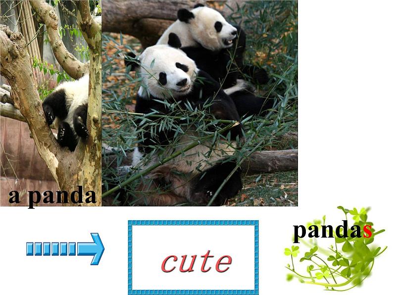 人教版七下Unit 5 Why do you like pandas Section A 课件第5页