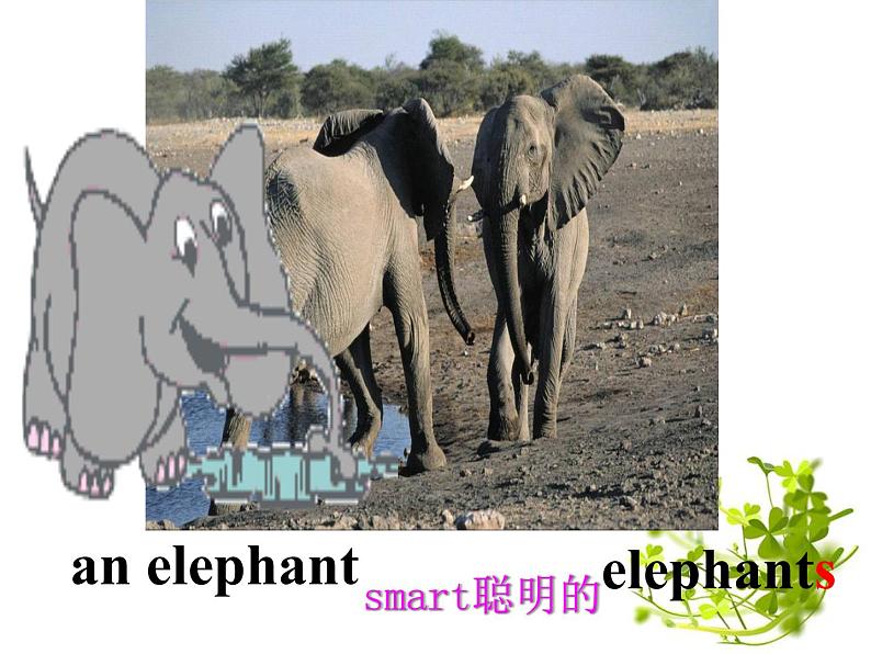人教版七下Unit 5 Why do you like pandas Section A 课件第8页