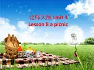 北师大 英语 八年级 下册 Unit 3 Lesson 8 第二课时教学课件(共13张PPT)