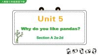 英语人教新目标 (Go for it) 版Unit 5 Why do you like pandas?Section A优秀ppt课件
