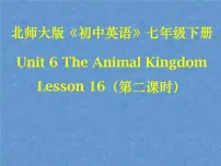 北师大版七年级下册Lesson 16 My Favourite Animal教课内容课件ppt