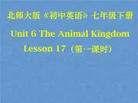 北师大版英语七下Unit 6《Lesson 17 Interesting Animals》ppt第1课时教学课件