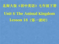 北师大版英语七下Unit 6《Lesson 18 An Animal Story》ppt第1课时教学课件