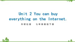 外研版2021学年七下英语 Module 5  Unit 2 You can buy everything on the Internet. 同步教学课件