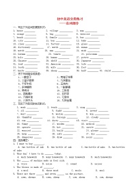 中考英语-名词-配套练习