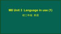 英语外研版 (新标准)Unit 3 Language in use课前预习ppt课件