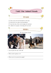 英语七年级下册（2012秋审查）Unit 3 Our animal friends.学案设计
