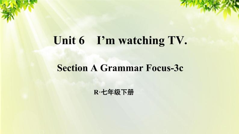 人教版七年级英语下册 unit6 section A Grammar Focus-3c 课件01