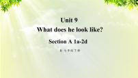 人教新目标 (Go for it) 版七年级下册Unit 9 What does he look like?Section A备课ppt课件