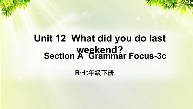 人教版七年级英语下册 unit12 section A Grammar Focus-3c 课件01
