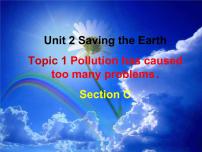 仁爱科普版九年级上册Unit 2 Saving the earth.Topic 1  Pollution has causes too many problems.背景图课件ppt