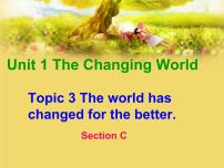 仁爱科普版九年级上册Topic 3 The world has changed for the better.授课ppt课件