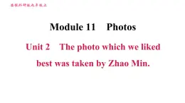 外研版九年级上册英语课件 Module 11 Unit 2 The photo which we liked best was taken by Zhao Min