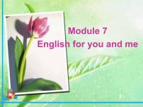初中英语外研版 (新标准)九年级下册Module 7 English for you and meUnit 2 We all own English.教学ppt课件