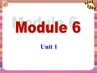 外研版（新标准）初中英语九年级下册Module 6-Unit 1课件