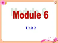 外研版（新标准）初中英语九年级下册Module 6-Unit 2课件