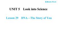 冀教版九年级上册Lesson 29 DNA—The Story of You教课ppt课件