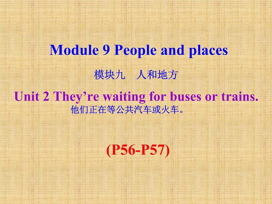 外研版（新標(biāo)準(zhǔn)）初中英語九年級下冊Module 9-Unit 2第1頁