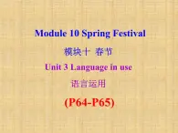 外研版（新标准）初中英语九年级下册Module 10-Unit 3 课件