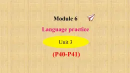 外研版（新标准）初中英语九年级下册Module 6-Unit 3 课件