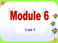 外研版（新标准）初中英语九年级下册Module 6-Unit 3 课件