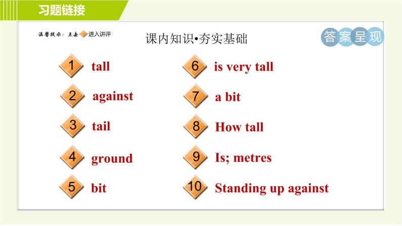 冀教版七年级上册英语习题课件 Unit3 Lesson 15 Tall or Short02