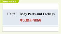 英语七年级上册Unit 3 Body Parts and Feelings综合与测试习题ppt课件