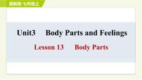 2021学年Lesson 13  Body Parts习题ppt课件