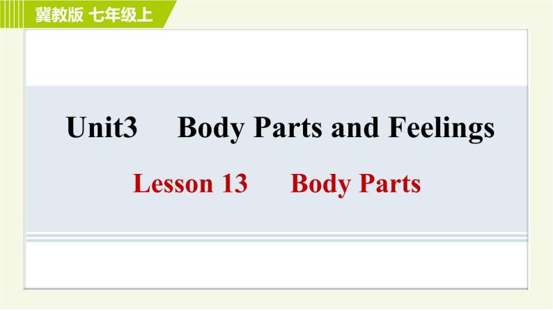 冀教版七年级上册英语习题课件 Unit3 Lesson 13 Body Parts01