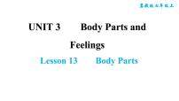 冀教版七年级上册Unit 3 Body Parts and FeelingsLesson 13  Body Parts习题课件ppt