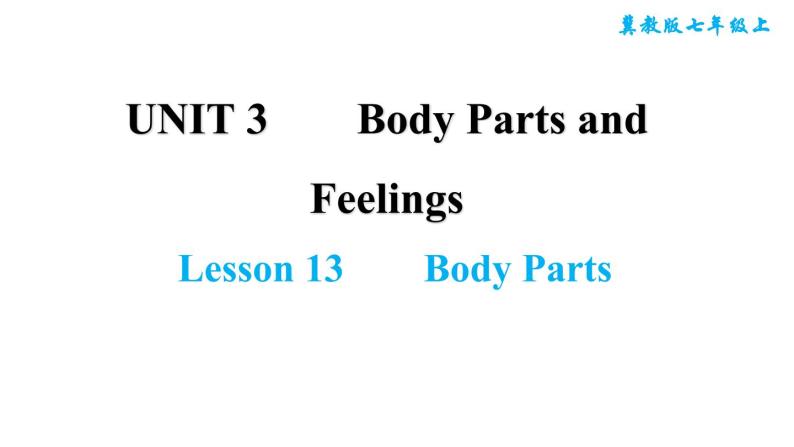 冀教版七年级上册英语习题课件 Unit3 Lesson 13　　Body Parts01
