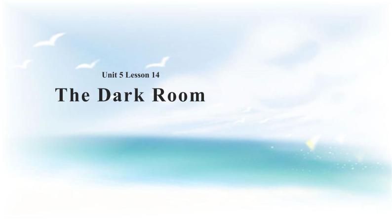 Unit 5 Literature Lesson 14 The Dark Room 课件+教案01