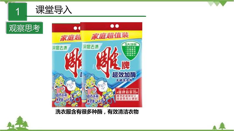 4.2食物的消化与吸收(第3课时)(课件)-九年级科学上册 同步教学课件(浙教版)02