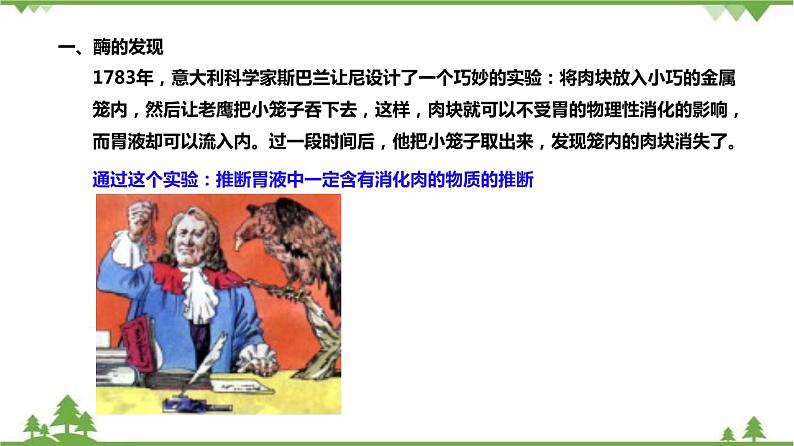 4.2食物的消化与吸收(第3课时)(课件)-九年级科学上册 同步教学课件(浙教版)05