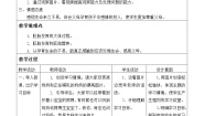 科学六年级上册生命的诞生与成长教学演示课件ppt