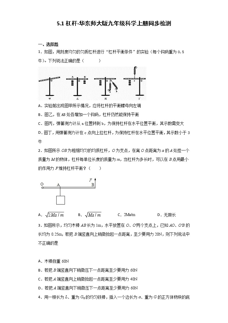 华师大版科学九年级上册 5.1 杠杆 同步检测(含解析)01