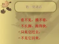 计量时间 （课件+1个视频）